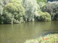 /album/river-hron/jesen-2008-068-jpg1/